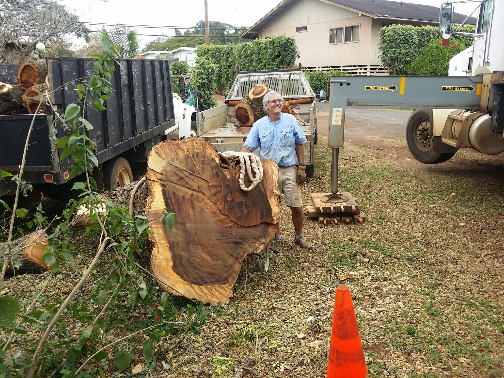 Large tree sectional removal